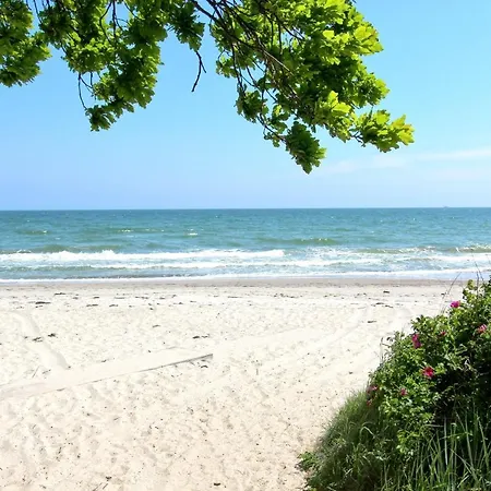 Apartment Strandnahe Mit Balkon, Gratis Nutzung Vom Ahoi Erlebnisbad Und Sauna In Sellin - Rex Rugia 29-7 *