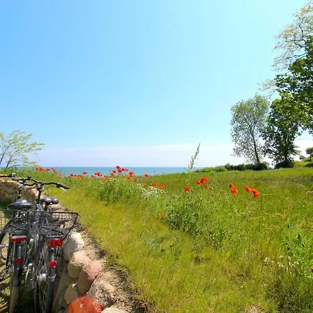 Strandnahe Mit Balkon, Gratis Nutzung Vom Ahoi Erlebnisbad Und Sauna In Sellin - Rex Rugia 29-7 * Lobbe